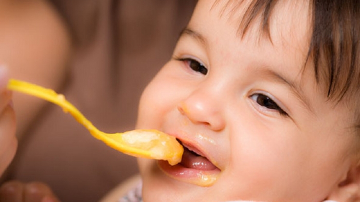 papillas-para-bebes